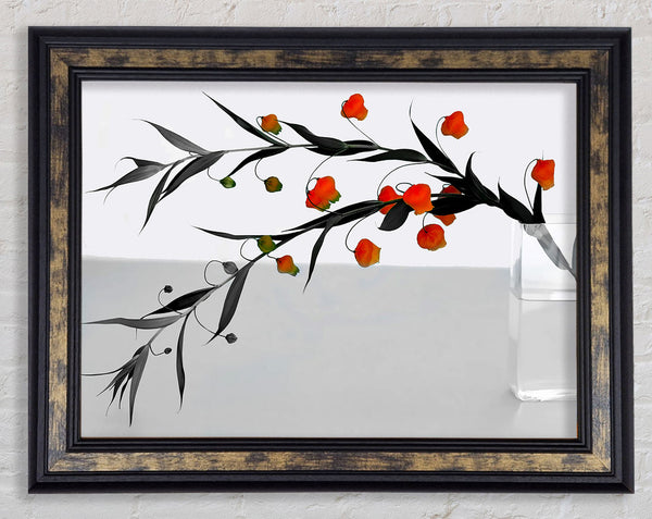 Vase Of Orange Buds B n W Framed Print