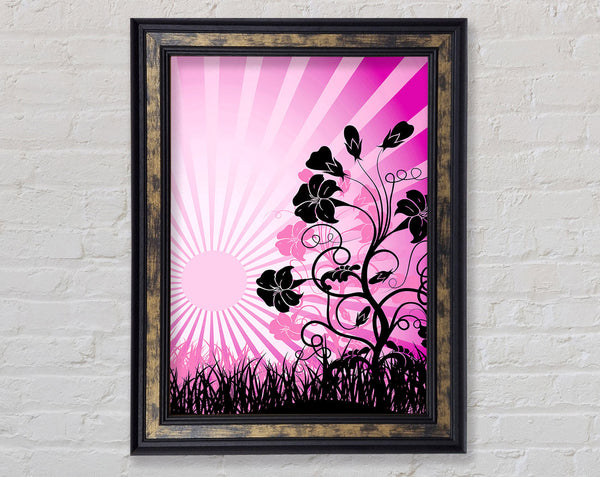 Black Flowers Pink Sunrays Framed Print