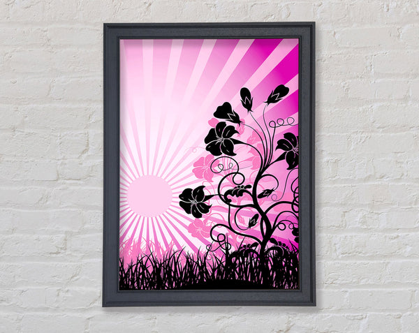 Schwarze Blumen Rosa Sonnenstrahlen