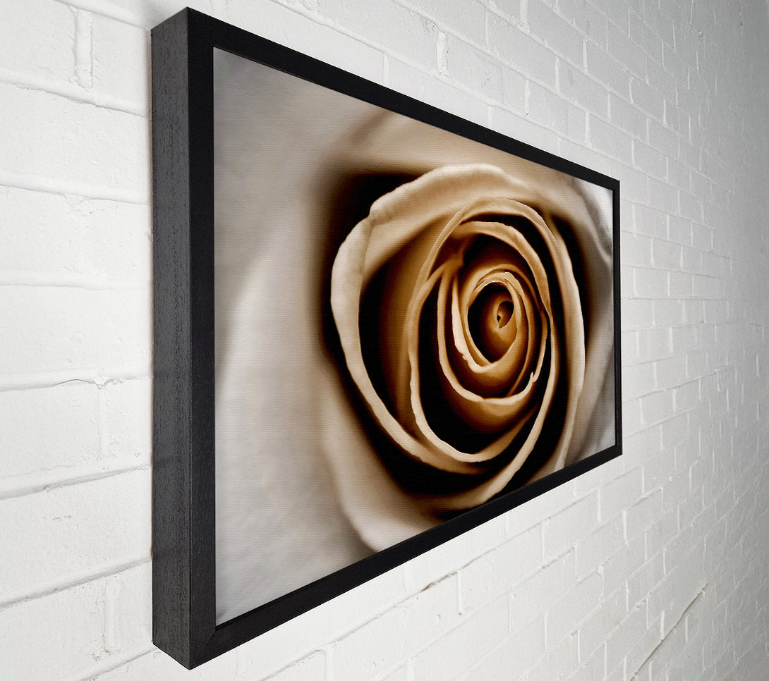  A Canvas Print of Stunning Sepia Rose Close-Up Canvas Art