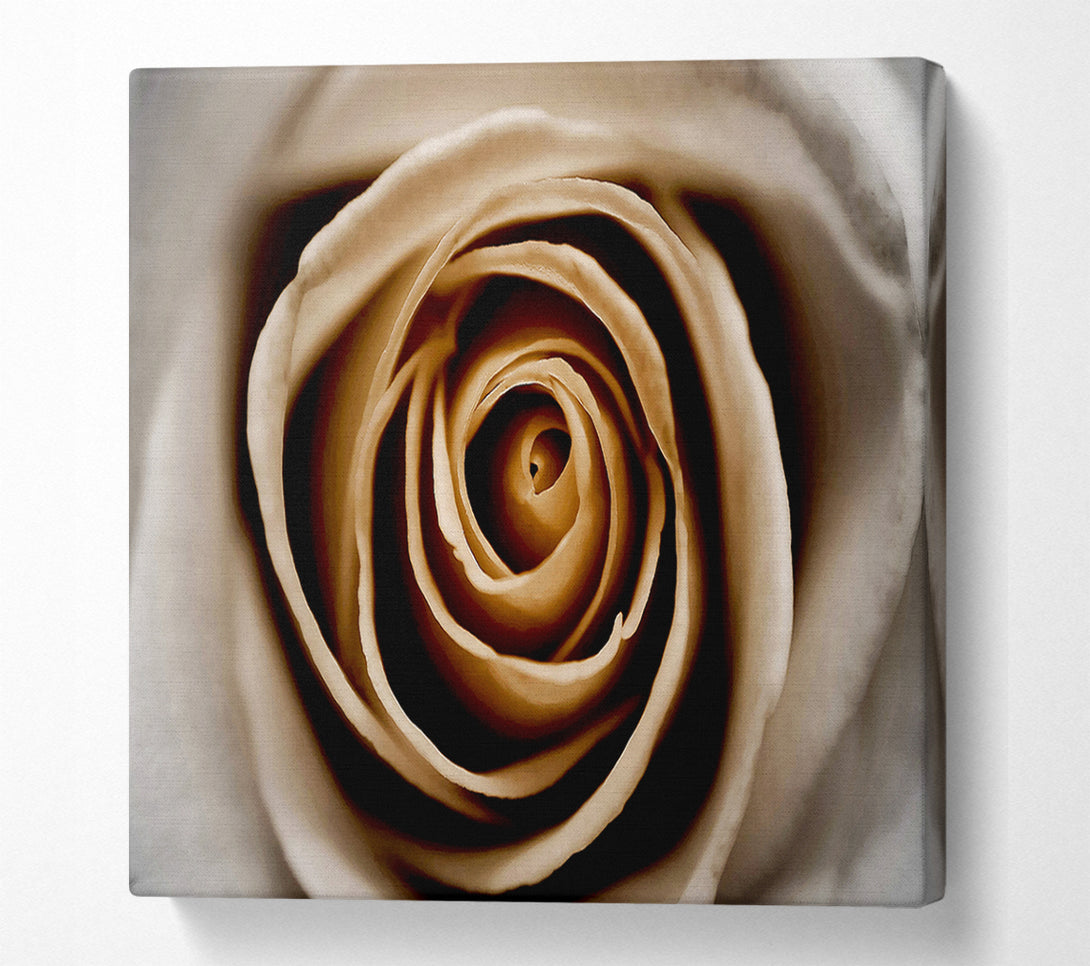  A Canvas Print of Stunning Sepia Rose Close-Up Canvas Art