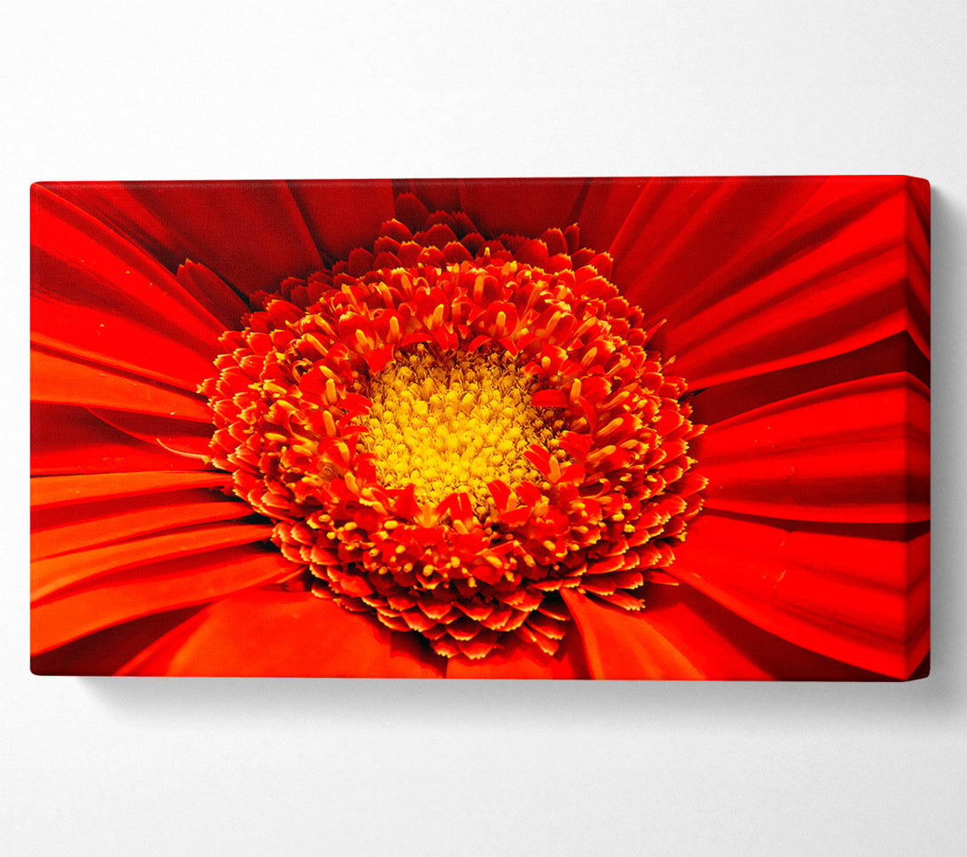  A Canvas Print of The Centre Of A Gerbera Canvas Wall Art