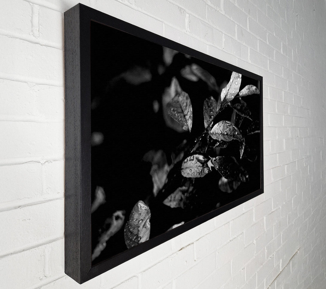  A Canvas Print of Winter Leaves B n W Canvas Wall Art