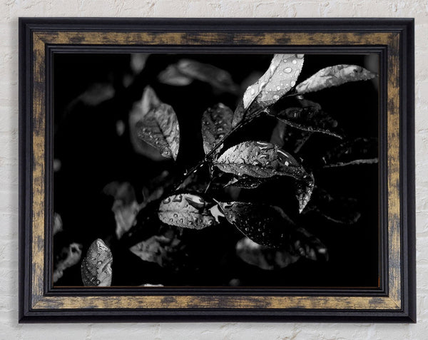 Winter Leaves B n W Framed Print