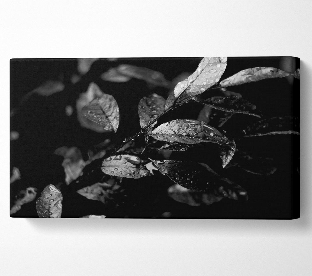  A Canvas Print of Winter Leaves B n W Canvas Wall Art