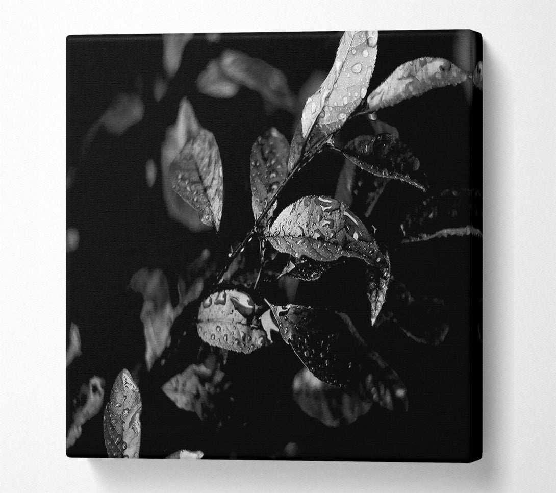  A Canvas Print of Winter Leaves B n W Canvas Wall Art