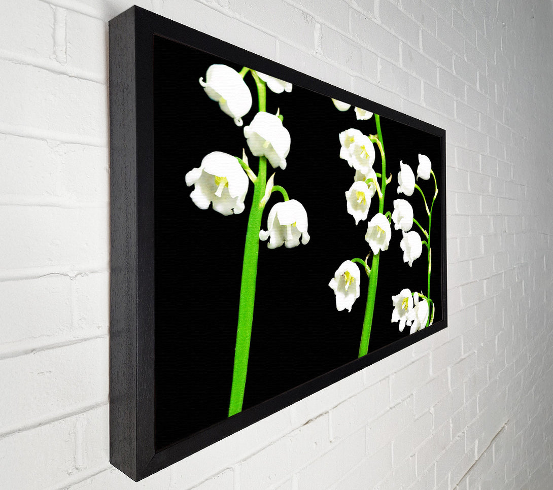  A Canvas Print of Summer Bells Canvas Print