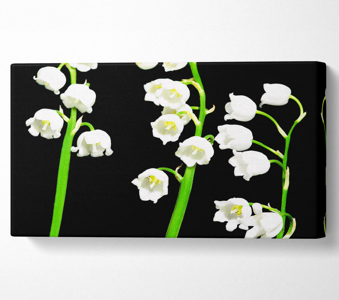  A Canvas Print of Summer Bells Canvas Print