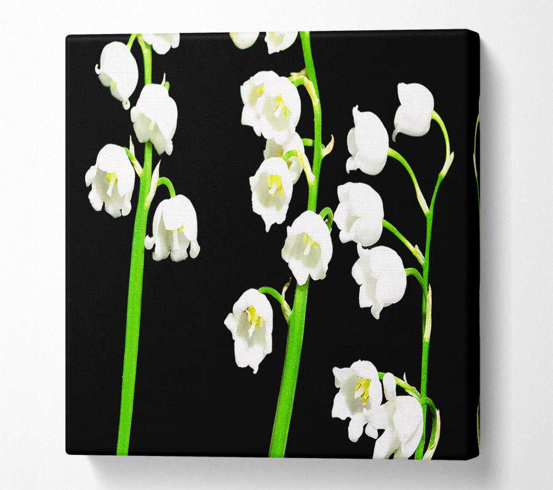  A Canvas Print of Summer Bells Canvas Print