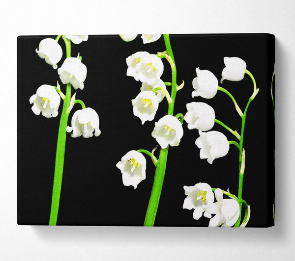  A Canvas Print of Summer Bells Canvas Print