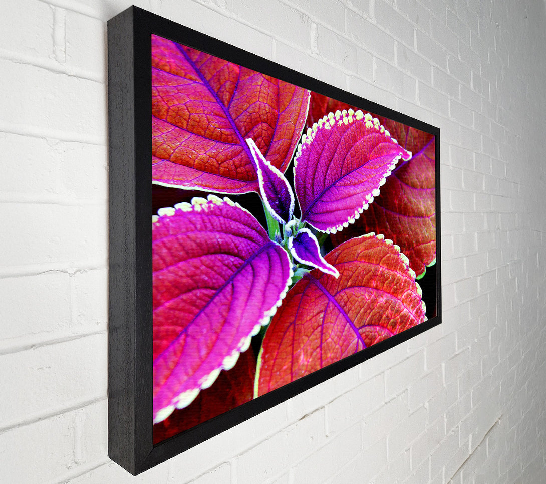  A Canvas Print of Rich Autumn Leaves Canvas Art