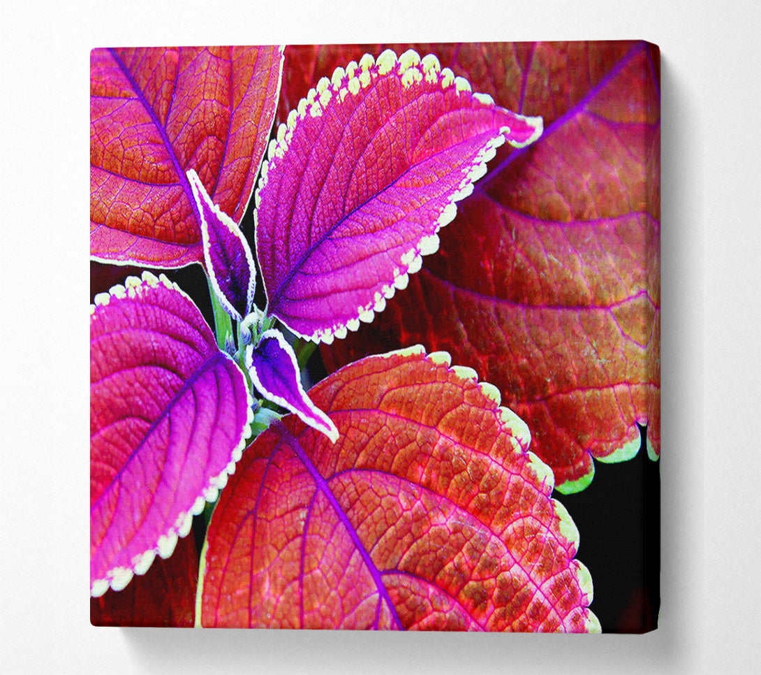  A Canvas Print of Rich Autumn Leaves Canvas Art
