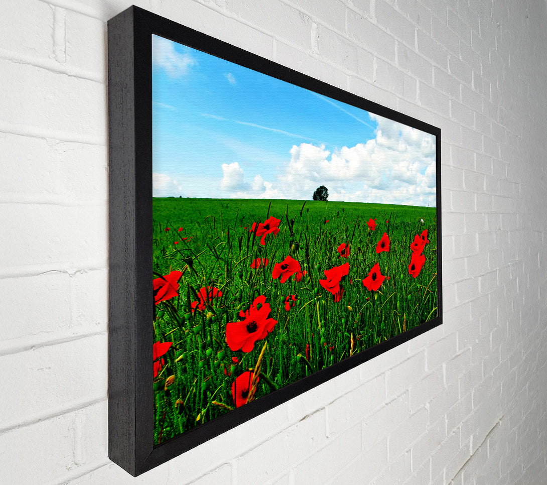  A Canvas Print of Poppy Fields On A Cloudy Day Canvas Art