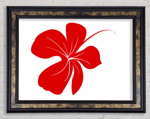 Red Bloom Framed Print
