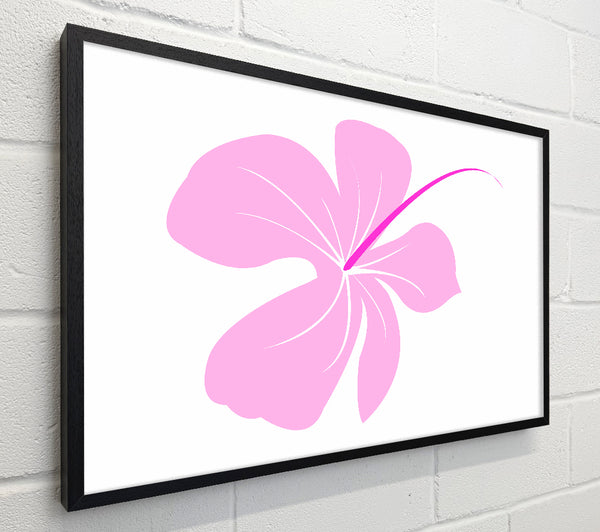 Pink Bloom