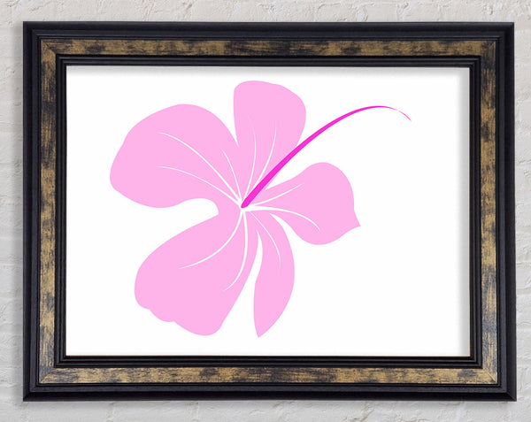 Pink Bloom Framed Print