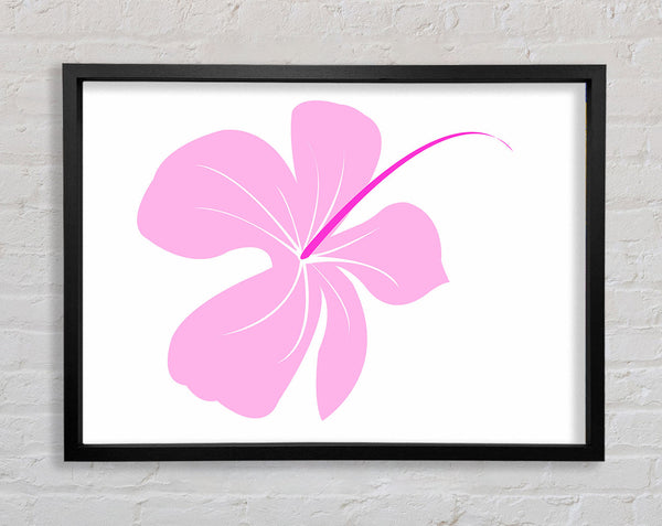 Pink Bloom Framed Print