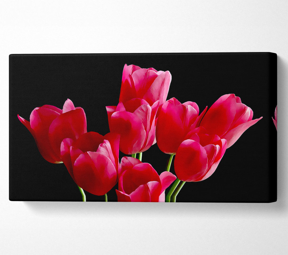  A Canvas Print of Flower Cerise Tulips Canvas Print