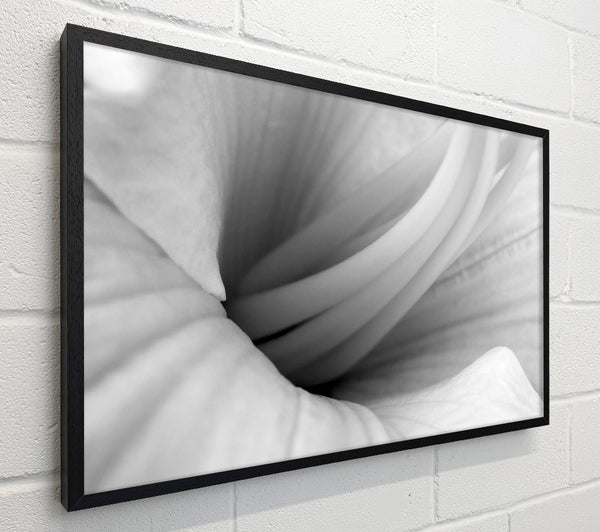 Soft Centre B n W