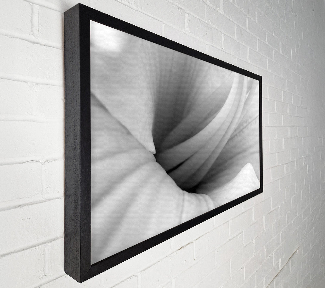  A Canvas Print of Soft Centre B n W Canvas Art