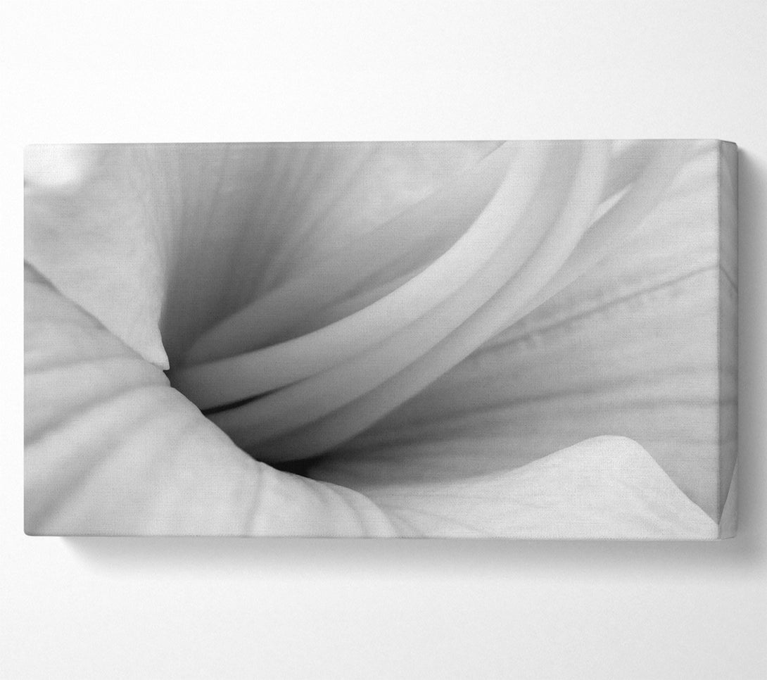  A Canvas Print of Soft Centre B n W Canvas Art
