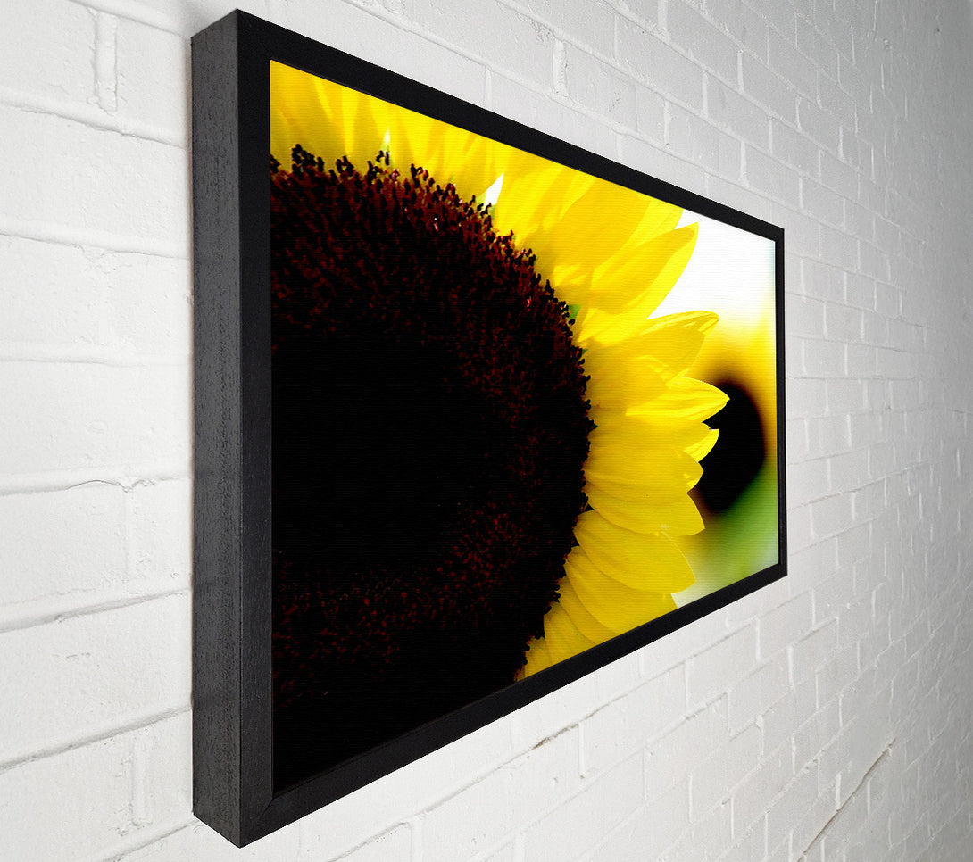  A Canvas Print of Sunflower Really Close-Up Canvas Art