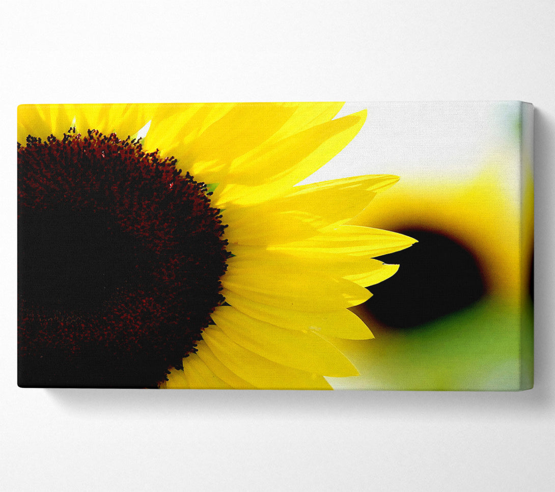 A Canvas Print of Sunflower Really Close-Up Canvas Art