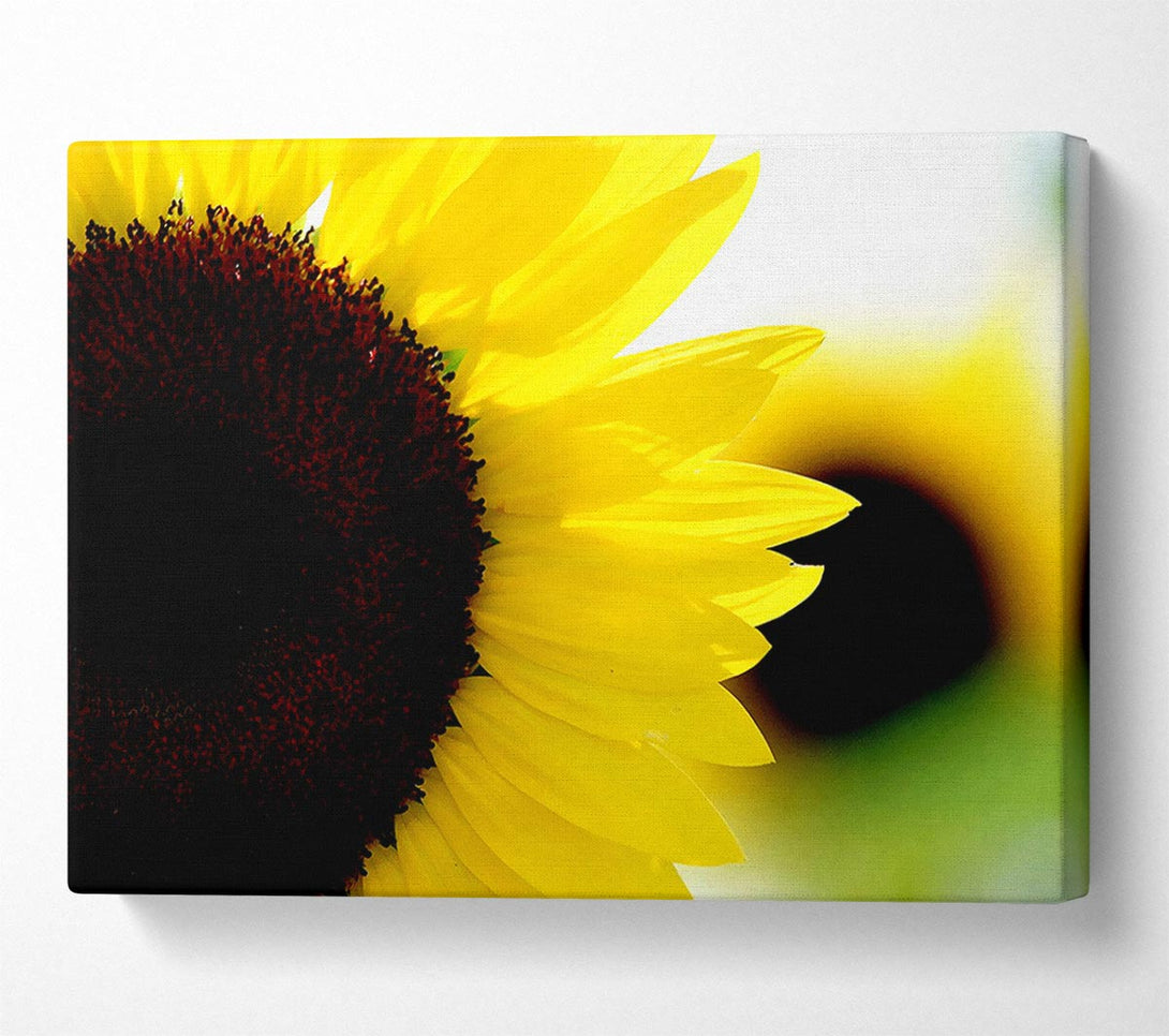  A Canvas Print of Sunflower Really Close-Up Canvas Art
