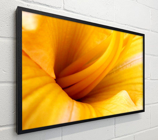 Yellow Trumpet