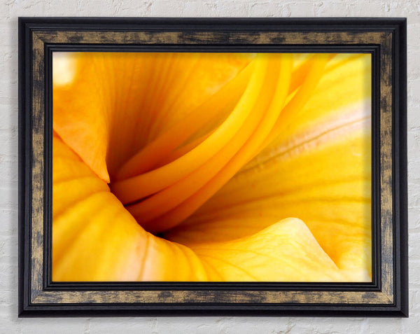 Yellow Trumpet Framed Print