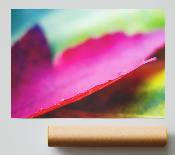 Pink Autumn Leave Giclee Print