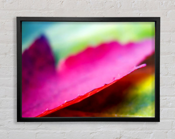 Pink Autumn Leave Framed Print