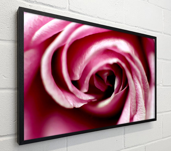 Pink Rose Centre