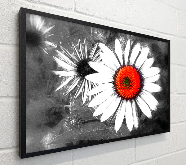 Daisy Centre