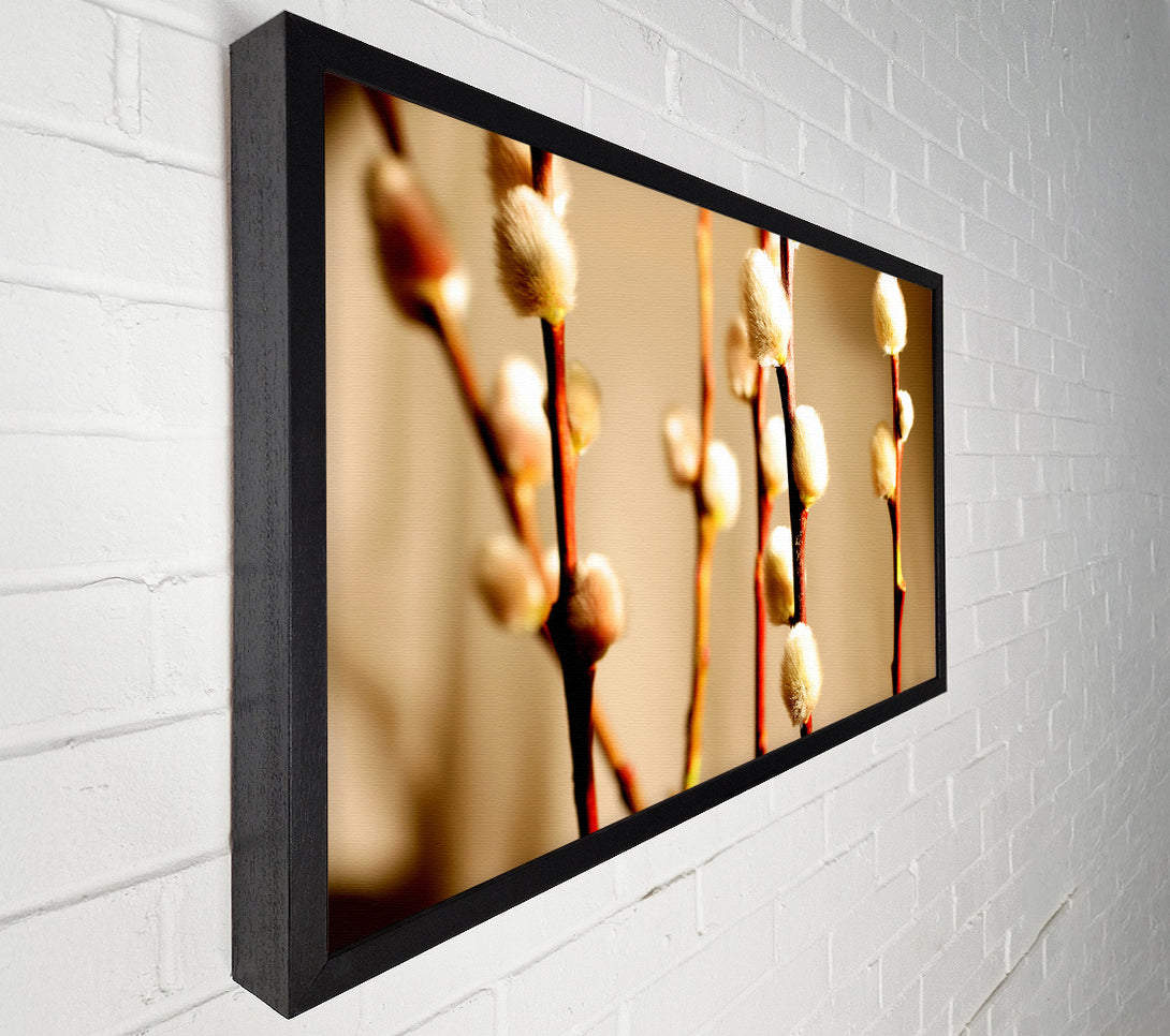  A Canvas Print of Pussy Willow Canvas Print