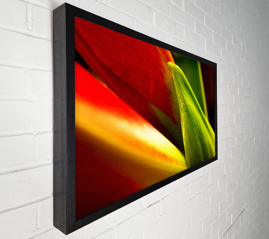  A Canvas Print of Colours Of Nature Canvas Art