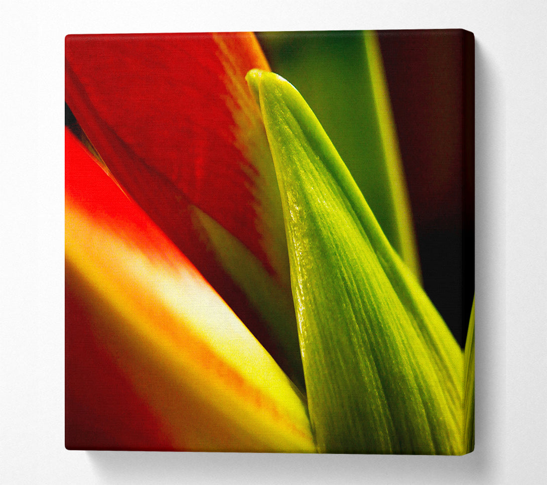  A Canvas Print of Colours Of Nature Canvas Art