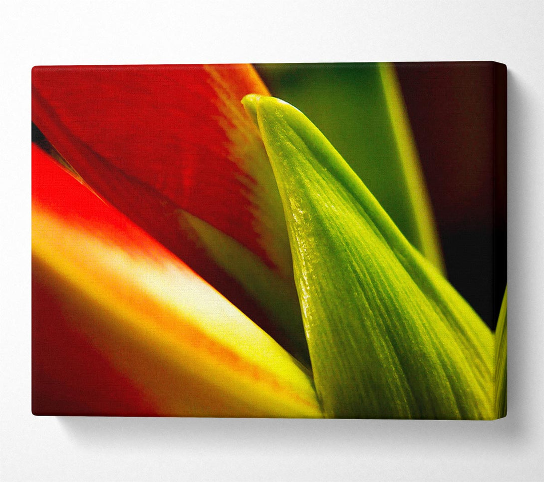  A Canvas Print of Colours Of Nature Canvas Art