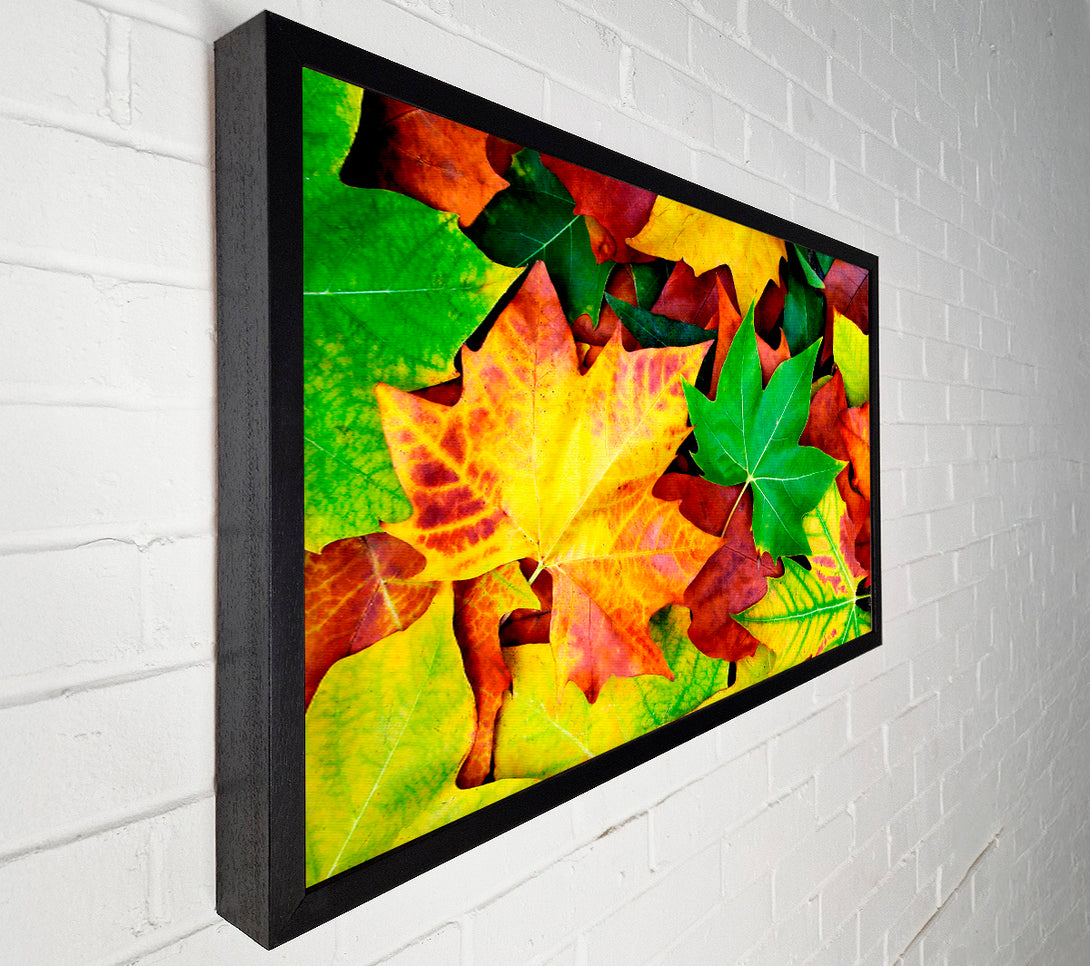  A Canvas Print of Autumn Leaves Fallen Canvas Wall Art