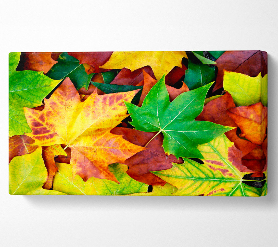  A Canvas Print of Autumn Leaves Fallen Canvas Wall Art
