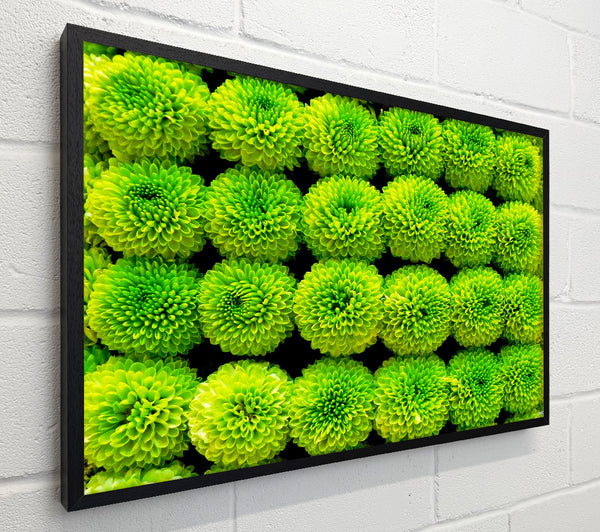 Green Parade