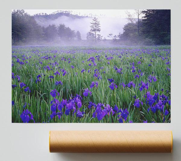 Bluebell Mist Print