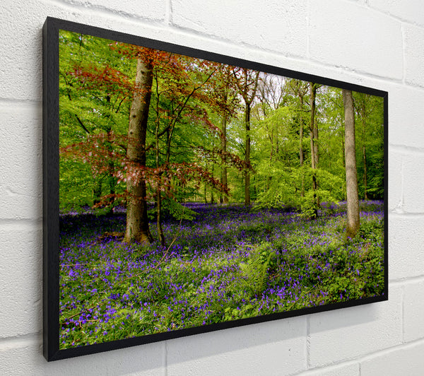Purple Flowers In The Forest