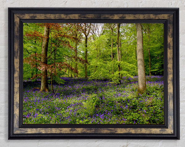 Purple Flowers In The Forest Framed Print