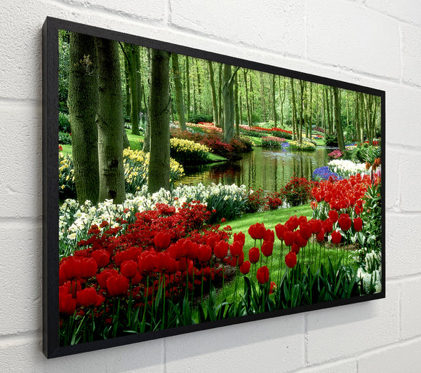 Tulip River