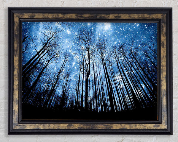 Starry Night In The Forest Framed Print