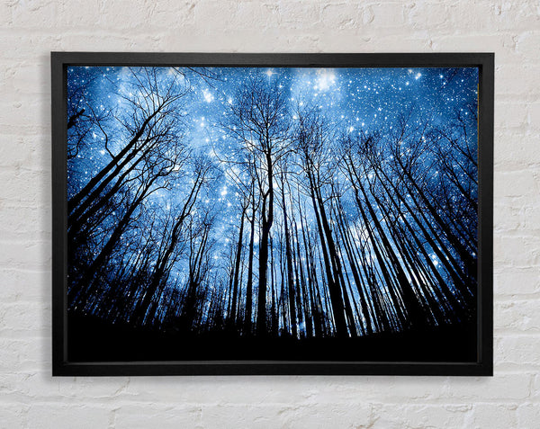 Starry Night In The Forest