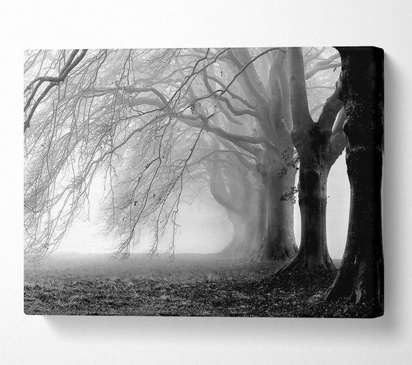 Heavy Branches