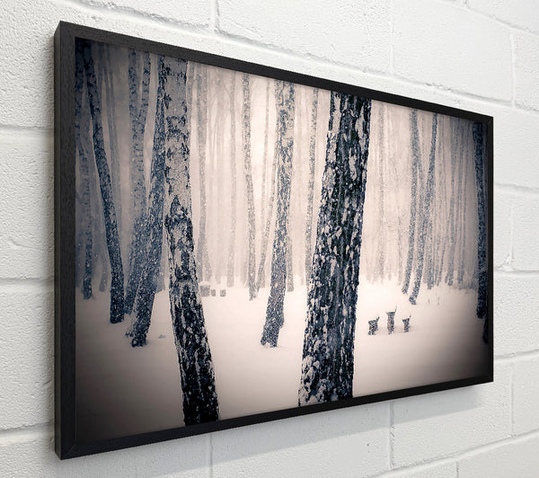 Forest Snowing