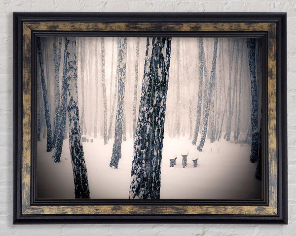 Forest Snowing Framed Print